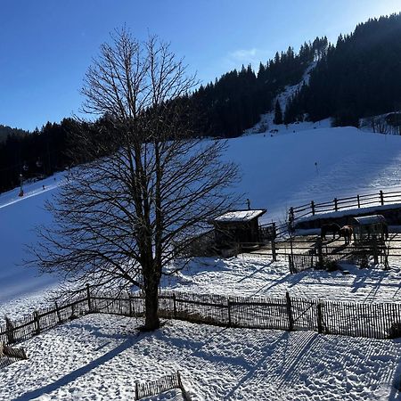 Obinghof Apartment Fieberbrunn Bagian luar foto