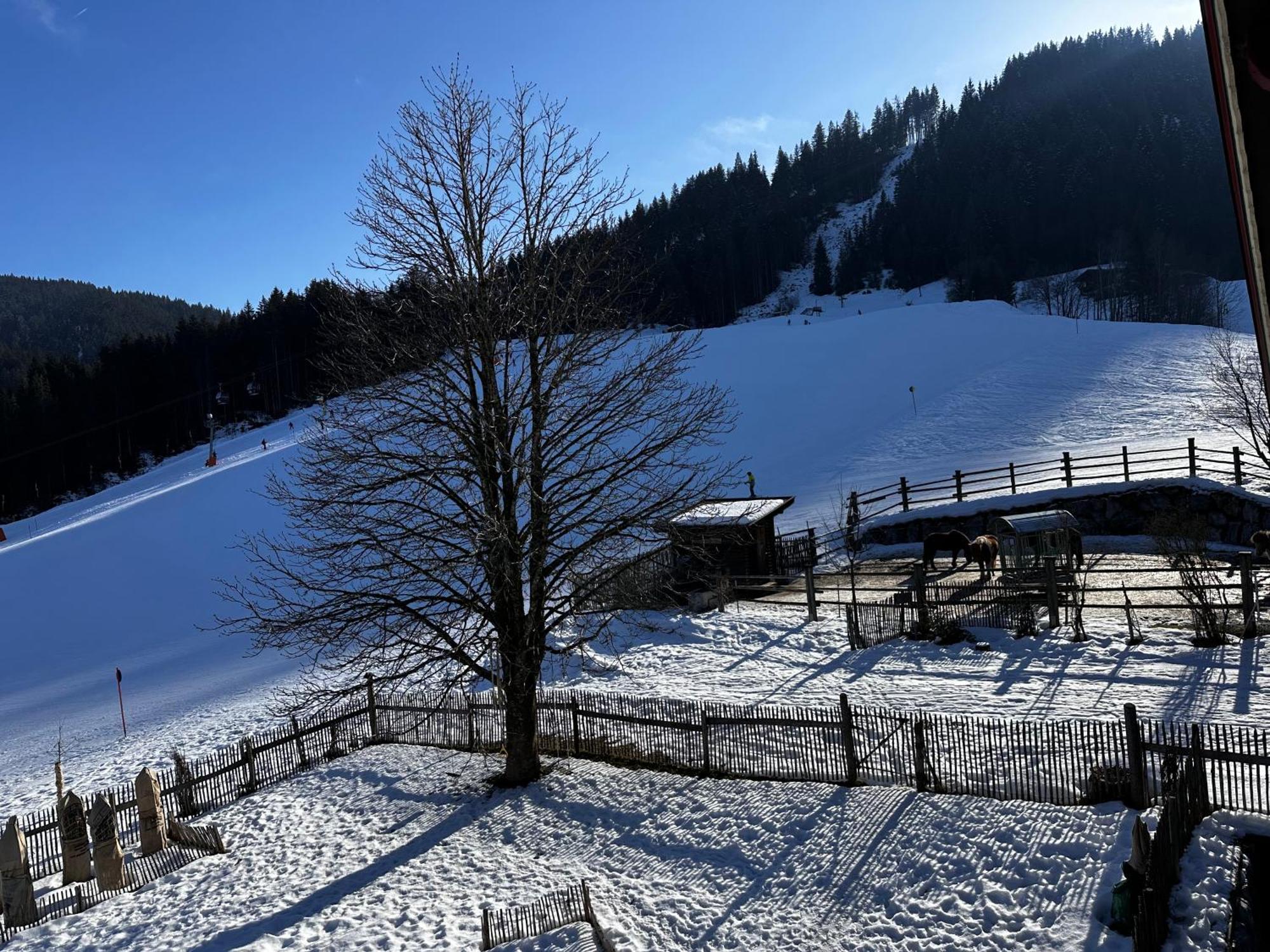 Obinghof Apartment Fieberbrunn Bagian luar foto
